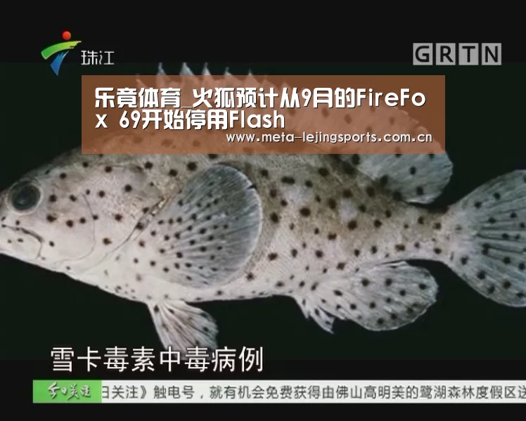 乐竟体育_火狐预计从9月的FireFox 69开始停用Flash(图3) 乐竟官网平台