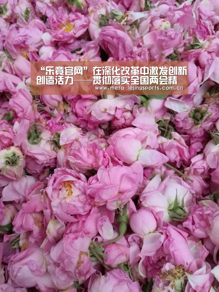 “乐竟官网”在深化改革中激发创新创造活力——贯彻落实全国两会精神系列报道之二(图3) 乐竟体育
