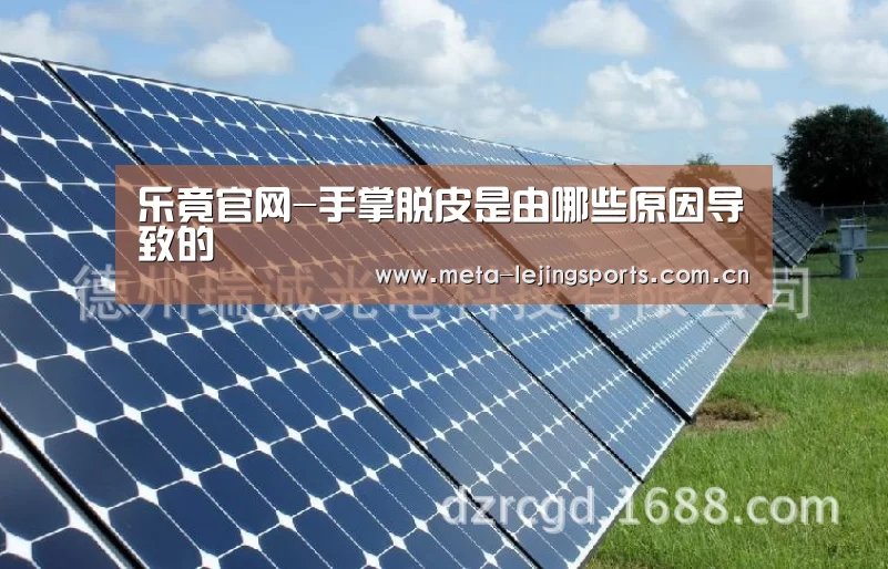乐竟官网-手掌脱皮是由哪些原因导致的(图4) 乐竟官网