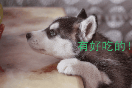 百度无偿献血小程序上线:即搜即用:乐竟体育(图2) 乐竟官网