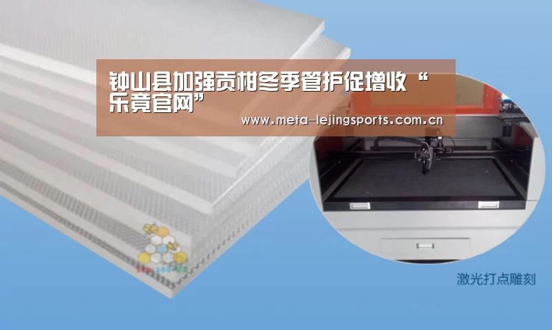 乐竟体育app