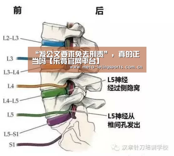 乐竟体育